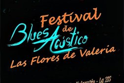 Las Flores de Valeria Bogotá / Blues & Rock and Roll