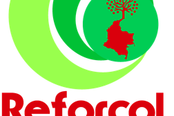 Corporación Redes Forestales de Colombia (reforcol)