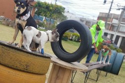 Escuela Canina (adiestramiento canino) Amidog Salamanca